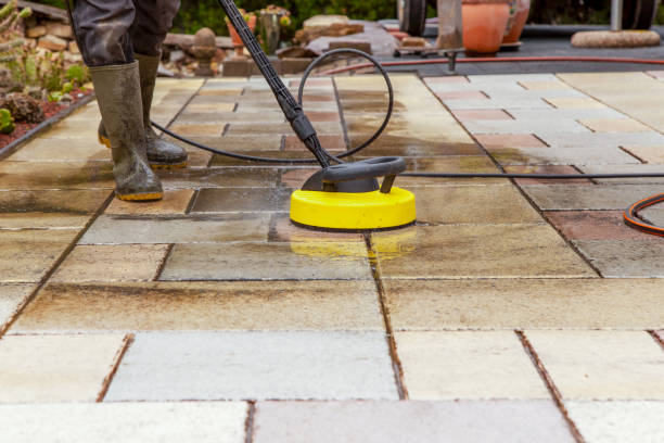 Best Animal Enclosure Cleaning  in Fontana, CA