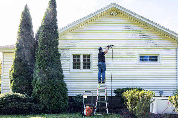 Best Roof Washing  in Fontana, CA